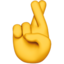 :hand_with_index_and_middle_fingers_crossed: π€